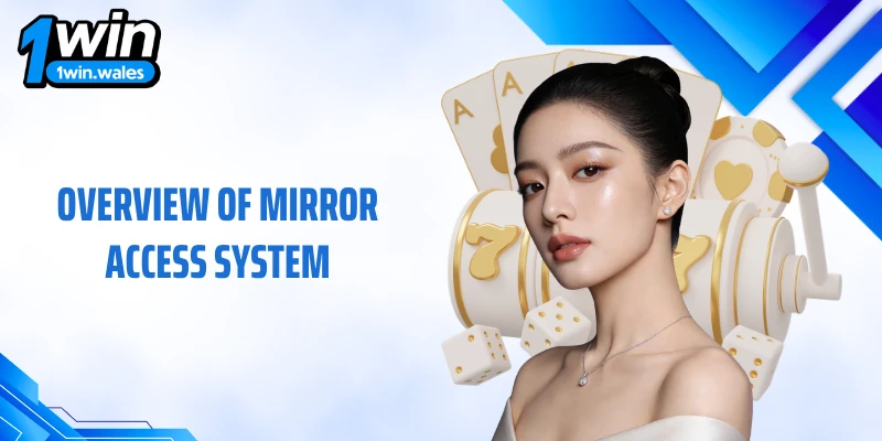 Overview of mirror access system