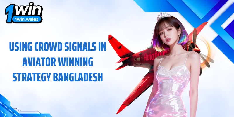 Using crowd signals in aviator winning strategy Bangladesh